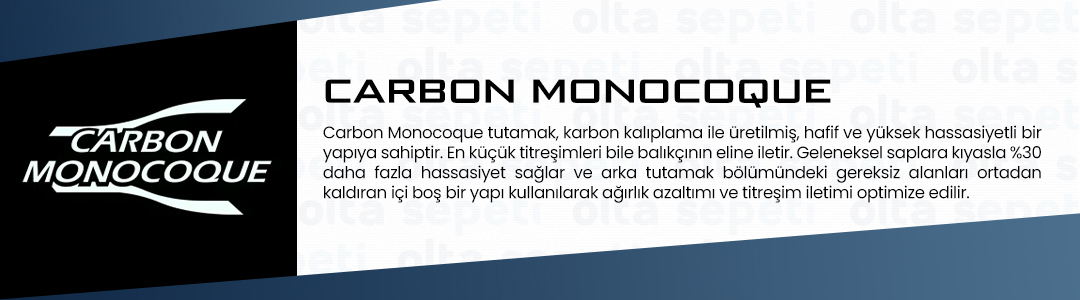 (Carbon Monocoque).jpg